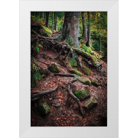Sentinels Along Our Path White Modern Wood Framed Art Print by Murdock, Ramona