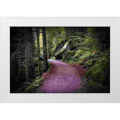 Path to Serenity White Modern Wood Framed Art Print by Murdock, Ramona