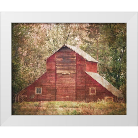 Another Time White Modern Wood Framed Art Print by Murdock, Ramona
