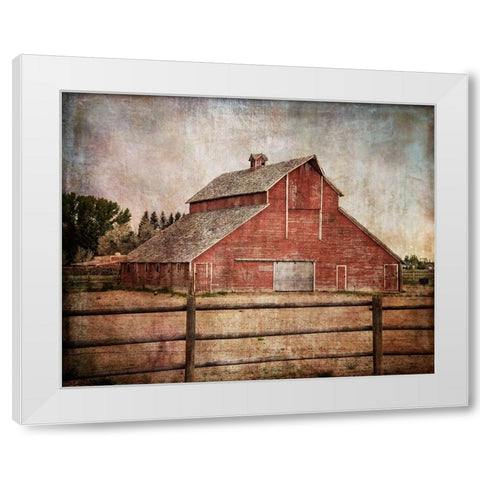 York Road Barn White Modern Wood Framed Art Print by Murdock, Ramona
