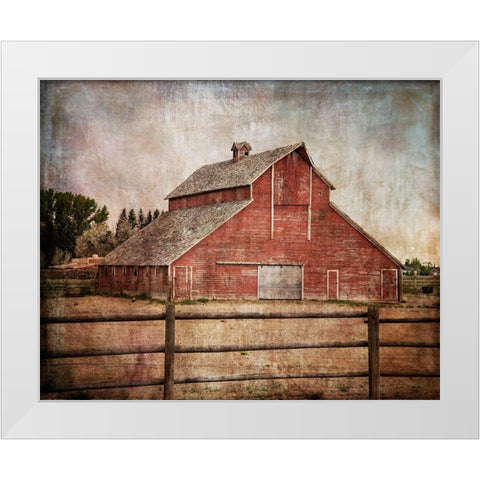 York Road Barn White Modern Wood Framed Art Print by Murdock, Ramona