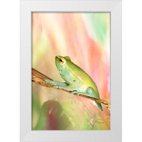 Basking in Light White Modern Wood Framed Art Print by Murdock, Ramona