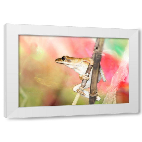 Hangin Around White Modern Wood Framed Art Print by Murdock, Ramona