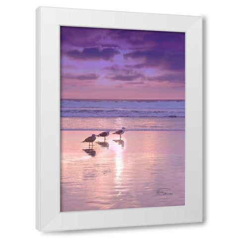 Seagull Beach II White Modern Wood Framed Art Print by Murdock, Ramona