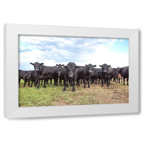 Bad Boys White Modern Wood Framed Art Print by Murdock, Ramona