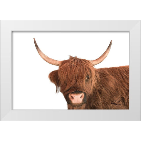 Highland Calf I White Modern Wood Framed Art Print by Murdock, Ramona