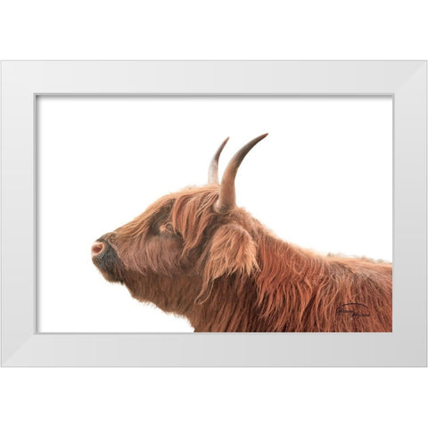 Highland Calf II White Modern Wood Framed Art Print by Murdock, Ramona