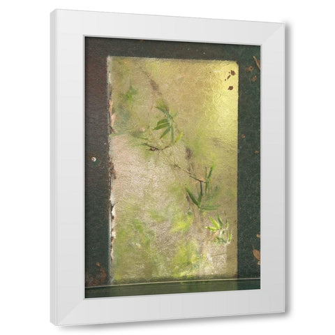 Bamboo Behind Frosted Glass White Modern Wood Framed Art Print by Murdock, Ramona