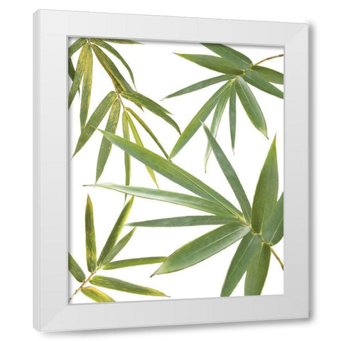 Bamboo Collage White Modern Wood Framed Art Print by Murdock, Ramona