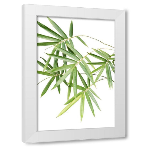 Bamboo Bouquet White Modern Wood Framed Art Print by Murdock, Ramona