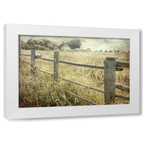 Rustic Fence White Modern Wood Framed Art Print by Murdock, Ramona