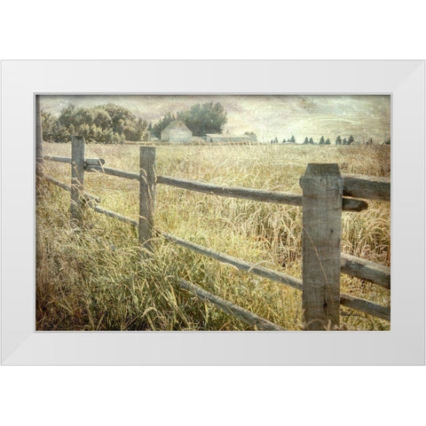 Rustic Fence White Modern Wood Framed Art Print by Murdock, Ramona