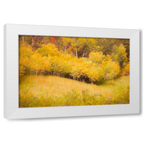 Fall Thicket White Modern Wood Framed Art Print by Murdock, Ramona