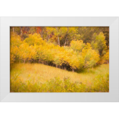 Fall Thicket White Modern Wood Framed Art Print by Murdock, Ramona
