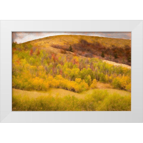 Autumn on the Hill White Modern Wood Framed Art Print by Murdock, Ramona