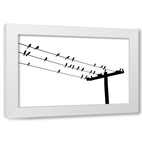Bird Neighborhood White Modern Wood Framed Art Print by Murdock, Ramona