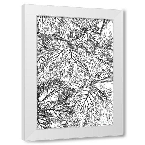 Botanical BW I White Modern Wood Framed Art Print by Murdock, Ramona