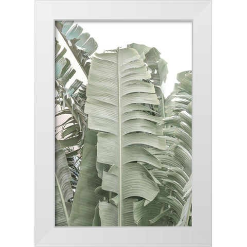 Banana Branch V White Modern Wood Framed Art Print by Murdock, Ramona
