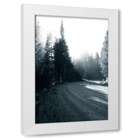 Light in the Forest II White Modern Wood Framed Art Print by Murdock, Ramona