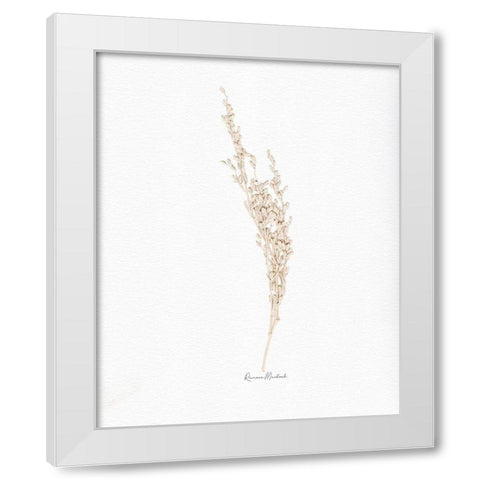 Weed Seed White Modern Wood Framed Art Print by Murdock, Ramona
