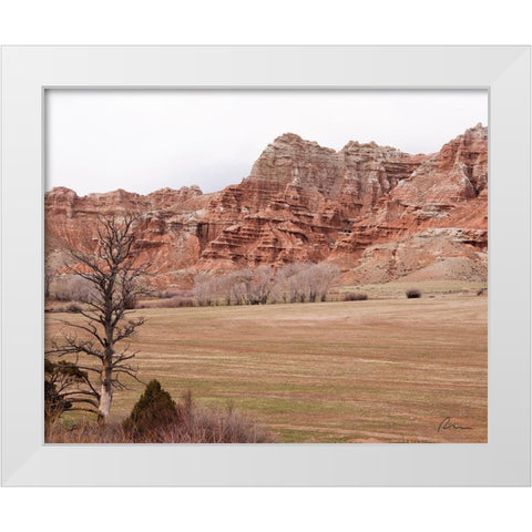 Wyoming Wilderness No. 10 White Modern Wood Framed Art Print by Murdock, Ramona
