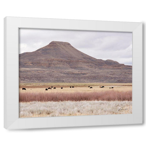 Pasture Land White Modern Wood Framed Art Print by Murdock, Ramona