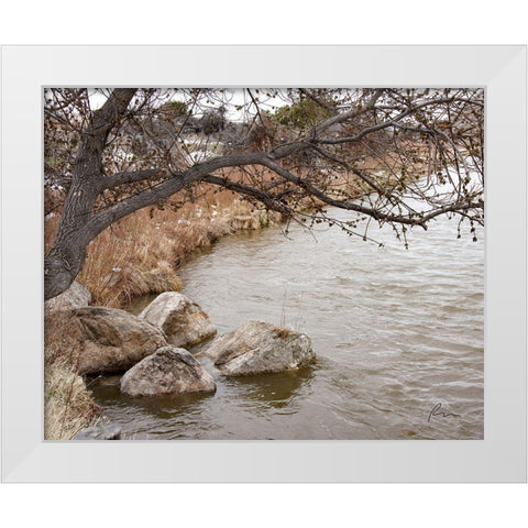 The Swimming Hole White Modern Wood Framed Art Print by Murdock, Ramona