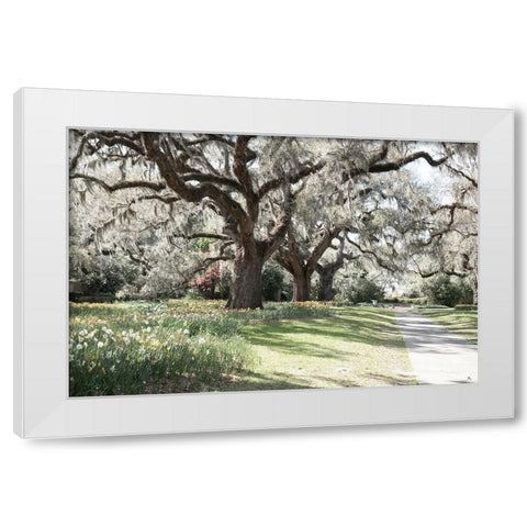 Brookgreen Garden White Modern Wood Framed Art Print by Murdock, Ramona