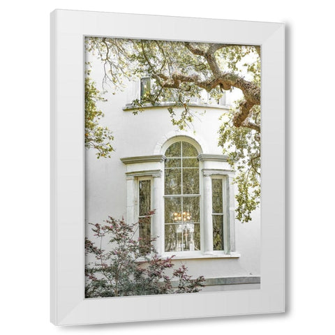 Charleston Garden Windows White Modern Wood Framed Art Print by Murdock, Ramona
