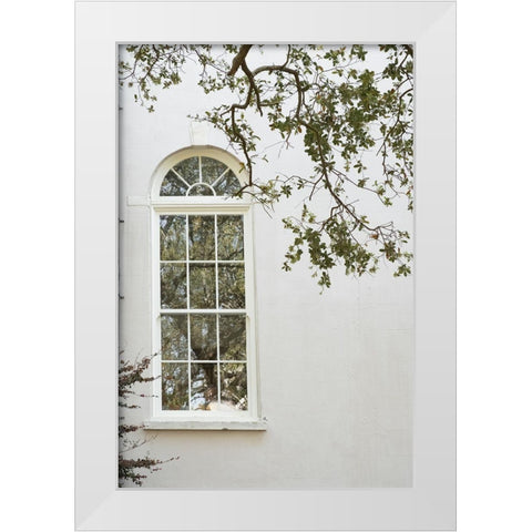 Charleston Garden Windows II White Modern Wood Framed Art Print by Murdock, Ramona