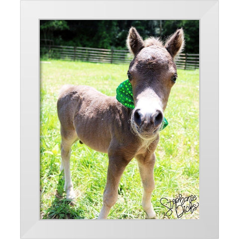 Mini Horse I White Modern Wood Framed Art Print by Dicks, Stephanie