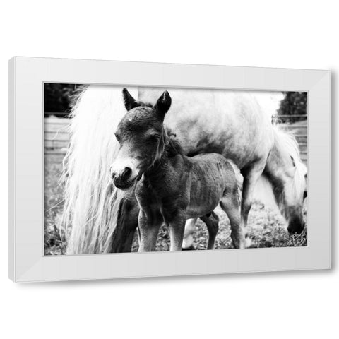 Mini Horse II White Modern Wood Framed Art Print by Dicks, Stephanie