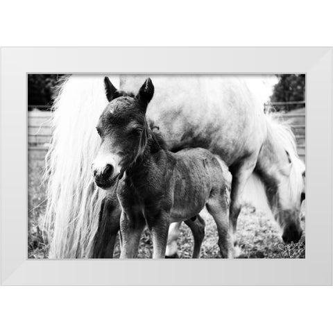 Mini Horse II White Modern Wood Framed Art Print by Dicks, Stephanie