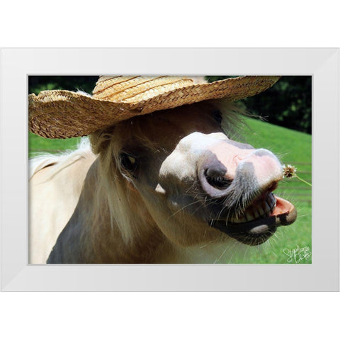 Mini Horse VI White Modern Wood Framed Art Print by Dicks, Stephanie