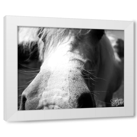 Mini Horse VIII White Modern Wood Framed Art Print by Dicks, Stephanie