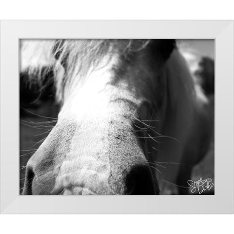 Mini Horse VIII White Modern Wood Framed Art Print by Dicks, Stephanie