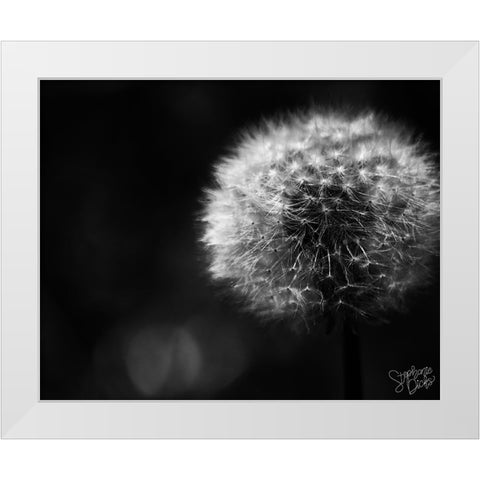 Dandelion White Modern Wood Framed Art Print by Dicks, Stephanie