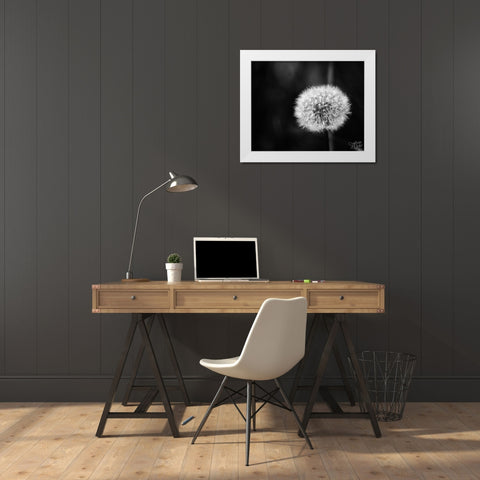 Dandelion II White Modern Wood Framed Art Print by Dicks, Stephanie