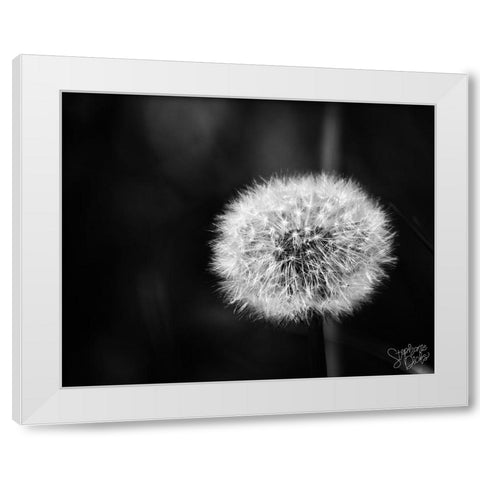 Dandelion II White Modern Wood Framed Art Print by Dicks, Stephanie