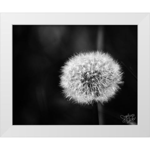 Dandelion II White Modern Wood Framed Art Print by Dicks, Stephanie