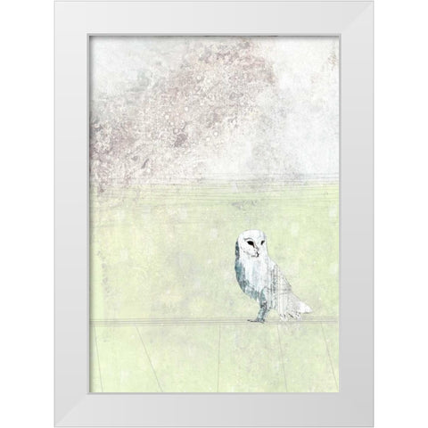 Turquoise Owl White Modern Wood Framed Art Print by Ogren, Sarah