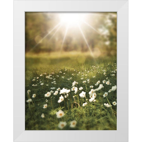 Field and Sun White Modern Wood Framed Art Print by Moss, Tara