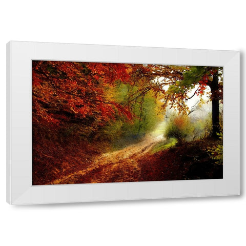 Autumn Forest Edge White Modern Wood Framed Art Print by Dundon, Denise