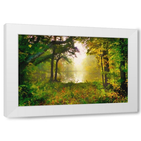 Morning Mist White Modern Wood Framed Art Print by Dundon, Denise