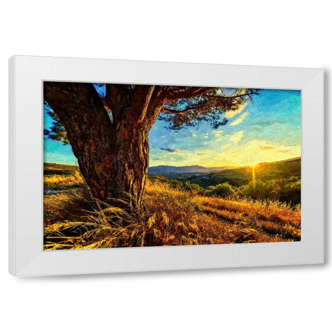 Gnarled Tree at Sunset White Modern Wood Framed Art Print by Dundon, Denise