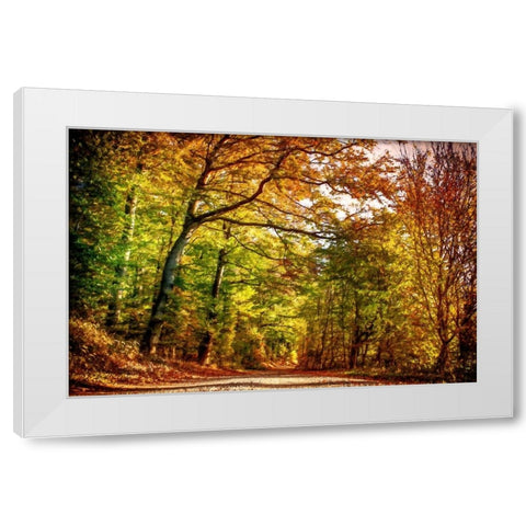 Autumn Pathway White Modern Wood Framed Art Print by Dundon, Denise