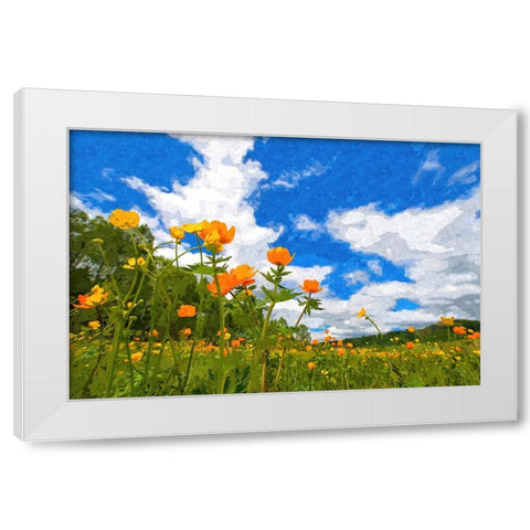 California Poppies White Modern Wood Framed Art Print by Dundon, Denise