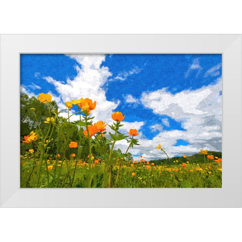 California Poppies White Modern Wood Framed Art Print by Dundon, Denise