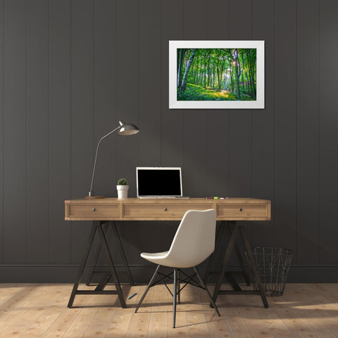 Emerald Forest White Modern Wood Framed Art Print by Dundon, Denise
