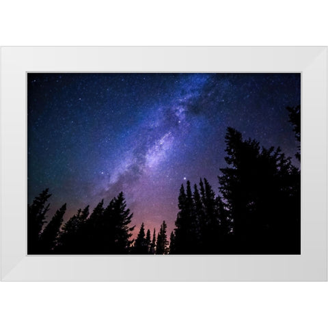 Conifers and Milky Way White Modern Wood Framed Art Print by Dundon, Denise